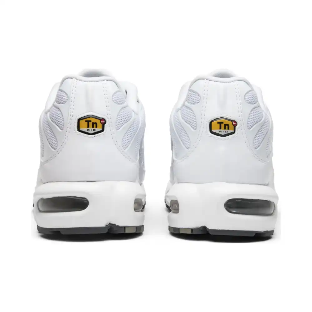 Nike Air Max Plus White